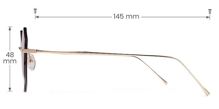 Raya gold   Metal  Sunglasses, size view