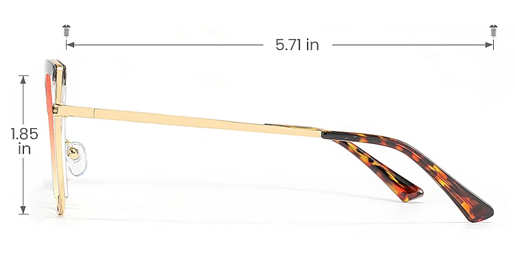 Falisha warm tortoise clear   Plastic  Sunglasses, size view