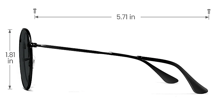 Joslyn black   Metal  Sunglasses, size view