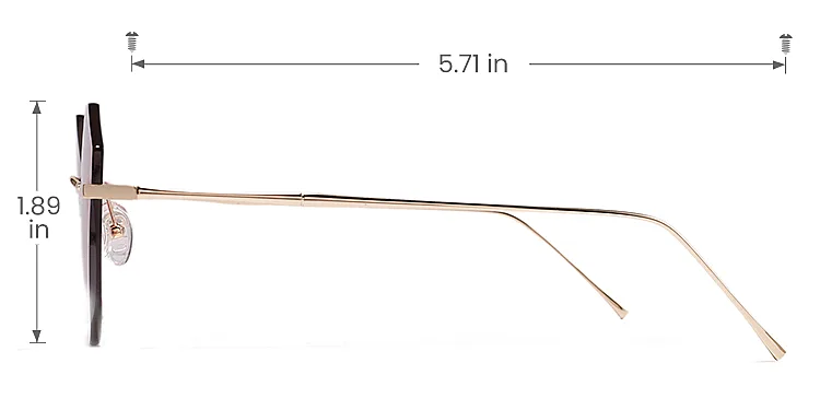 Raya gold   Metal  Sunglasses, size view