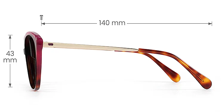 Keely warm tortoise   Acetate  Sunglasses, size view