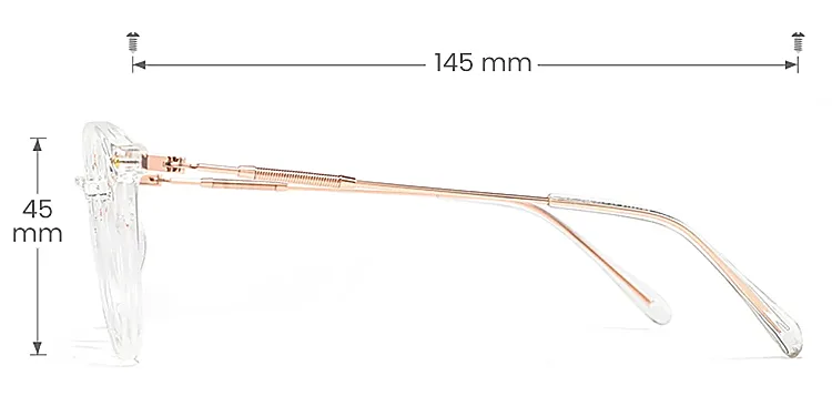 Leona clear rose gold   Plastic  Eyeglasses, size view