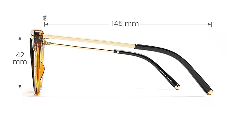 June warm tortoise   TR90  Sunglasses, size view