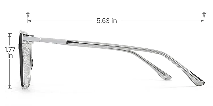 Aysun grey   Plastic  Sunglasses, size view