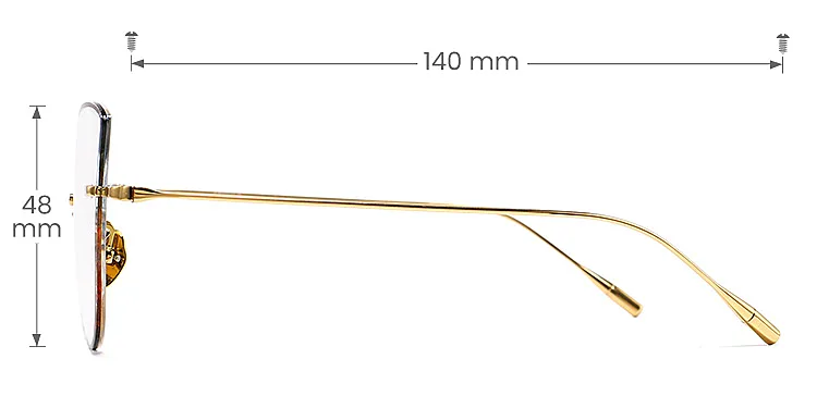 Tessa gold   Titanium  Eyeglasses, size view