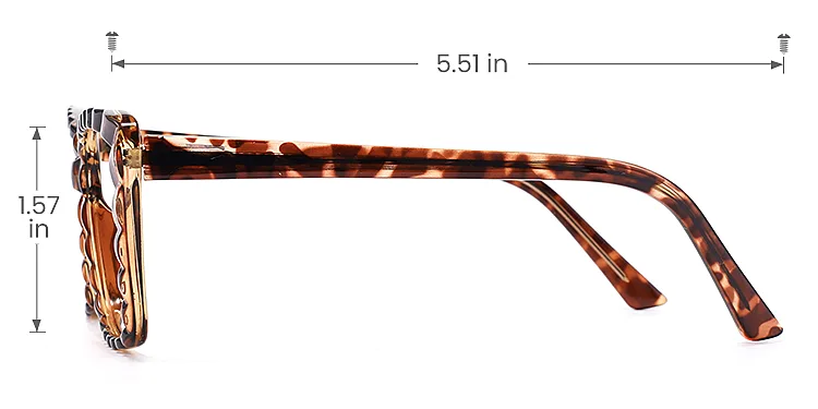 Larow warm tortoise   Plastic  Eyeglasses, size view