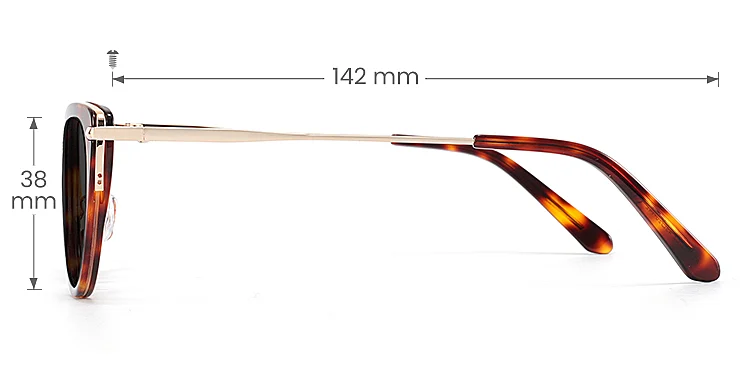 Flossie warm tortoise   Acetate  Sunglasses, size view