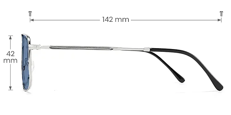 Brac silver   Metal  Sunglasses, size view