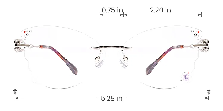 Mignon silver   Metal  Eyeglasses, size view