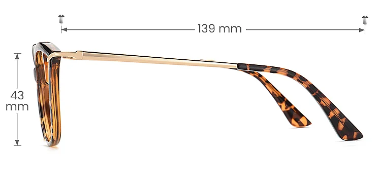 Sloan warm tortoise   Plastic  Eyeglasses, size view