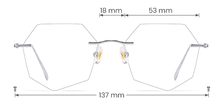 Rico silver   Titanium  Eyeglasses, size view