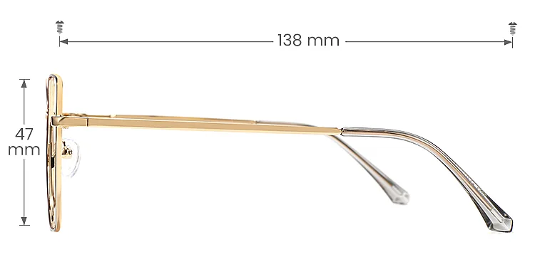 Berreth warm tortoise   Metal  Eyeglasses, size view