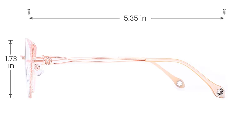 Issa rose gold   Metal  Eyeglasses, size view