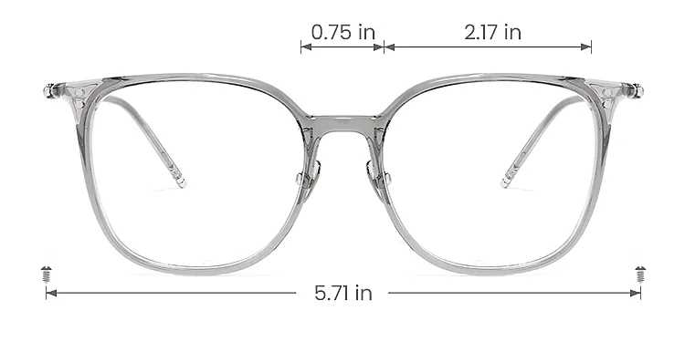Lowen clear grey   Titanium  Eyeglasses, size view