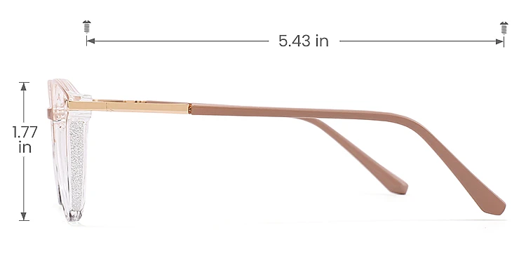 Darleen brown tortoise   Plastic  Eyeglasses, size view