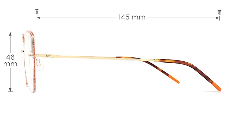 Karla rose gold silver   Titanium  Eyeglasses, size view