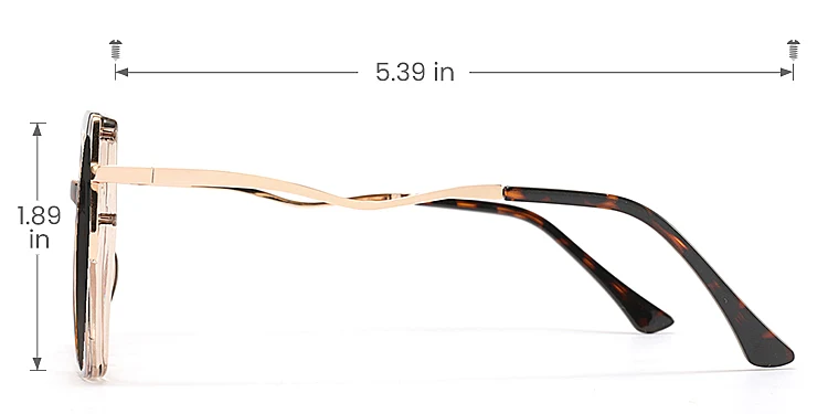 Meral warm tortoise   TR90  Sunglasses, size view