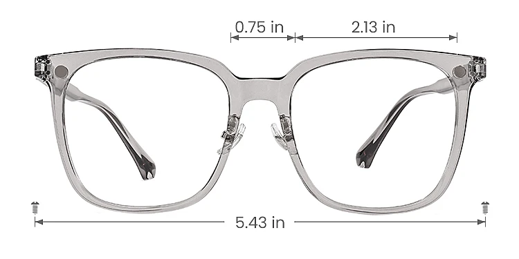 Fidelia grey   Plastic  Eyeglasses, size view