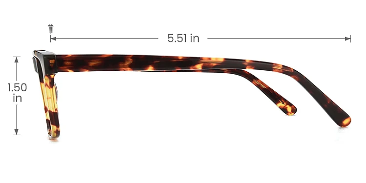 Jennifer warm tortoise   Plastic  Eyeglasses, size view