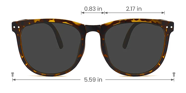 Angie warm tortoise   TR90  Sunglasses, size view