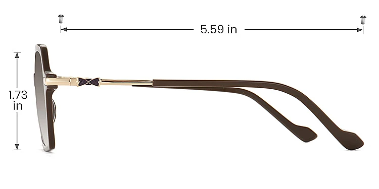 Bexley chocolate   Plastic  Sunglasses, size view