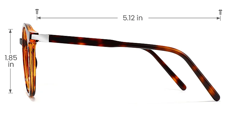 Axiom warm tortoise   Plastic  Eyeglasses, size view