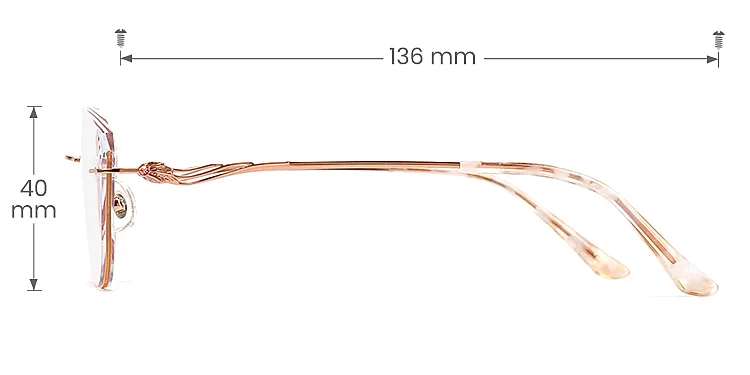Shiloh rose gold   Titanium  Eyeglasses, size view