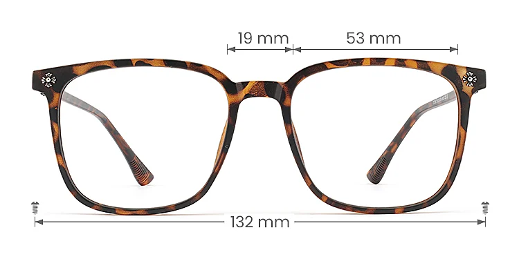 Suellen warm tortoise   Plastic  Eyeglasses, size view