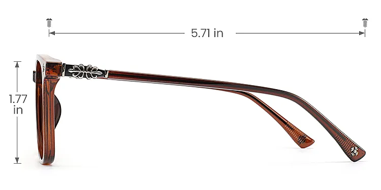 Suellen brown   Plastic  Sunglasses, size view
