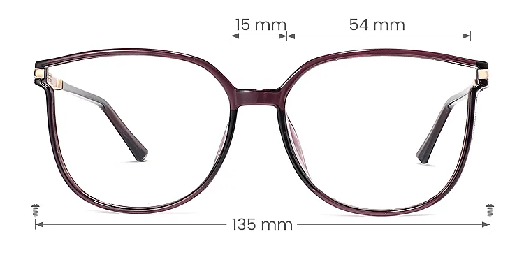 Aysun dark purple   Plastic  Eyeglasses, size view