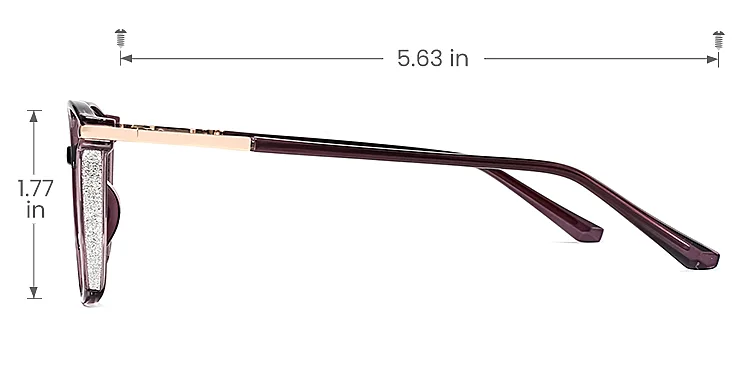 Aysun dark purple   Plastic  Eyeglasses, size view