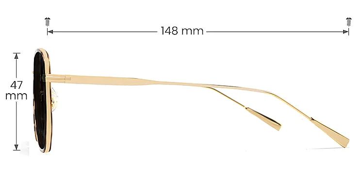 Eirlys petal tortoise   Plastic  Sunglasses, size view