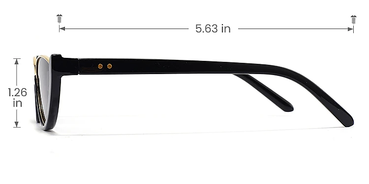 Paisley black   Plastic  Sunglasses, size view