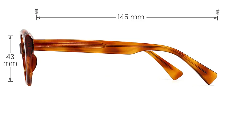 Stitch warm tortoise   Acetate  Eyeglasses, size view