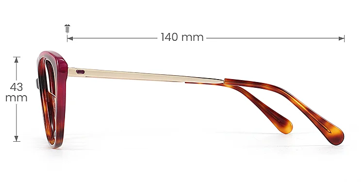 Keely warm tortoise   Acetate  Eyeglasses, size view
