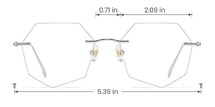 Rico silver   Titanium  Eyeglasses, size view