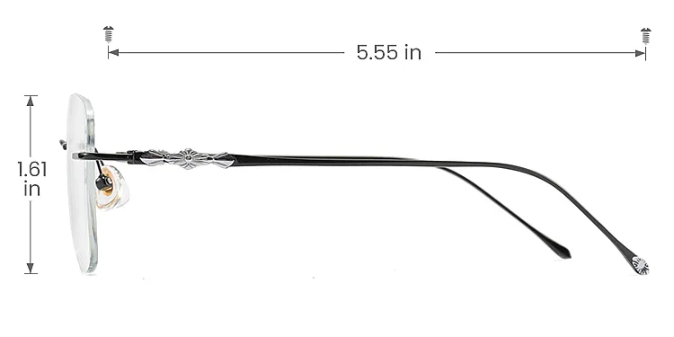 Mike black   Titanium  Eyeglasses, size view