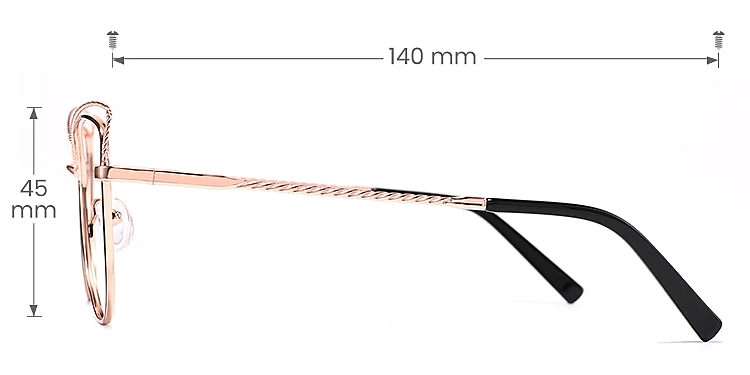 Salley black rose gold   Metal  Eyeglasses, size view