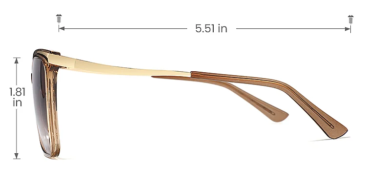 Sine brown   Plastic  Sunglasses, size view