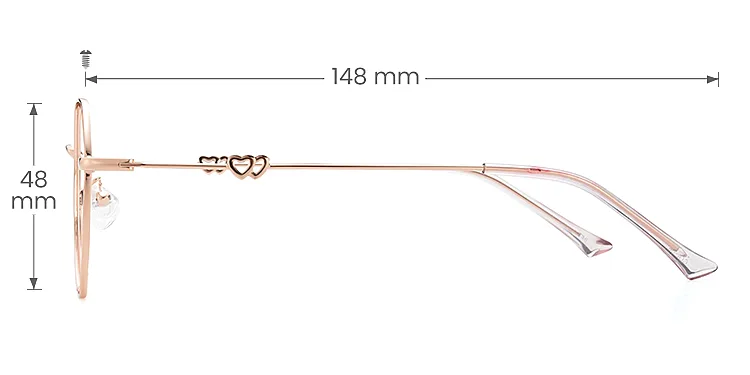 Megan rose gold   Metal  Eyeglasses, size view