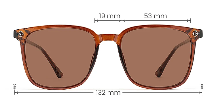 Suellen brown   Plastic  Sunglasses, size view