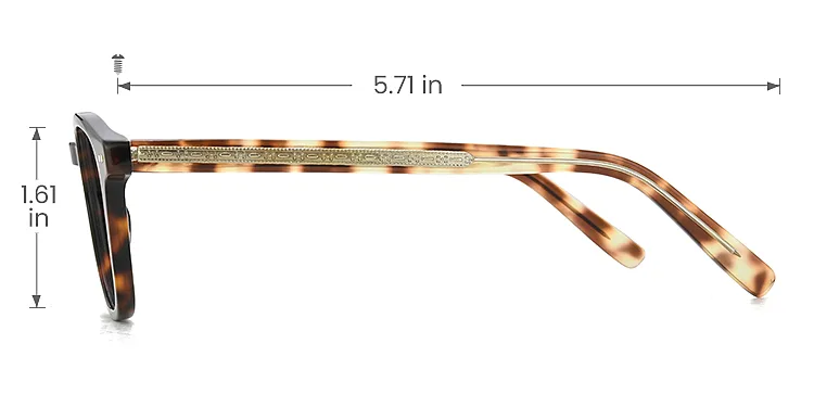 Ariel warm tortoise   Acetate  Eyeglasses, size view