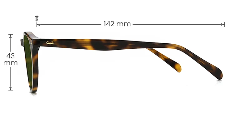 Joanna warm tortoise   Acetate  Sunglasses, size view