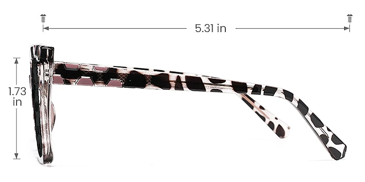 Anci leopard   Plastic  Sunglasses, size view