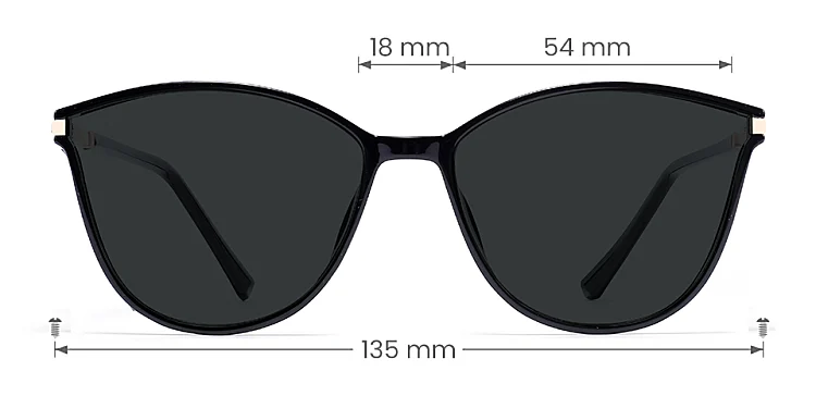 Darleen black   Plastic  Sunglasses, size view