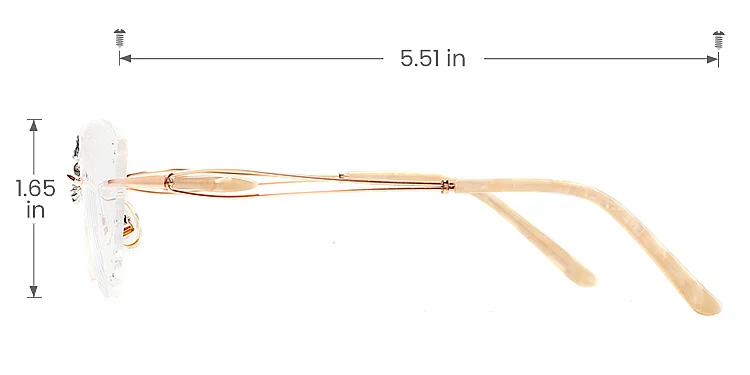 Acacia rose gold   Metal  Eyeglasses, size view