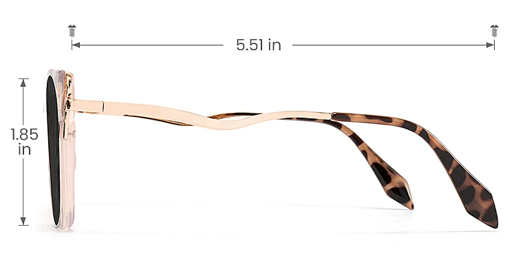 Wallis petal tortoise   TR90  Sunglasses, size view