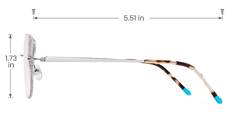 Angelle silver petal tortoise   Titanium  Eyeglasses, size view