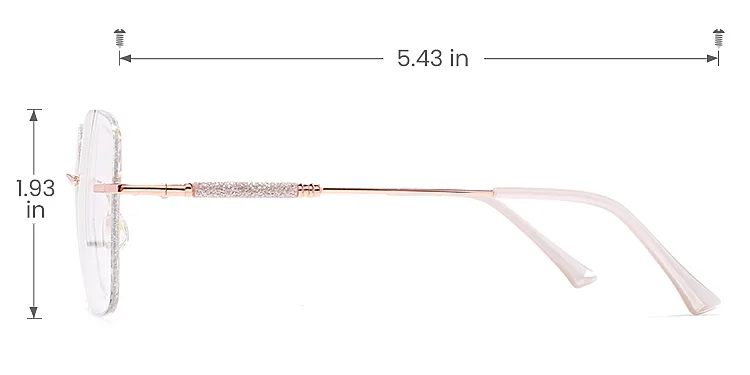 Sparkle rose gold silver   Metal  Eyeglasses, size view