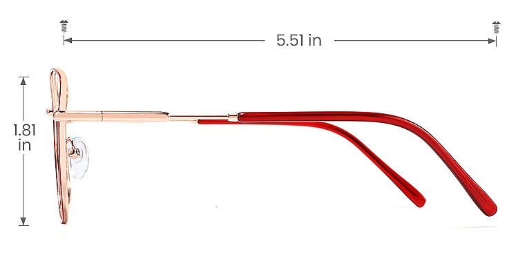 Galilee red   Metal  Eyeglasses, size view